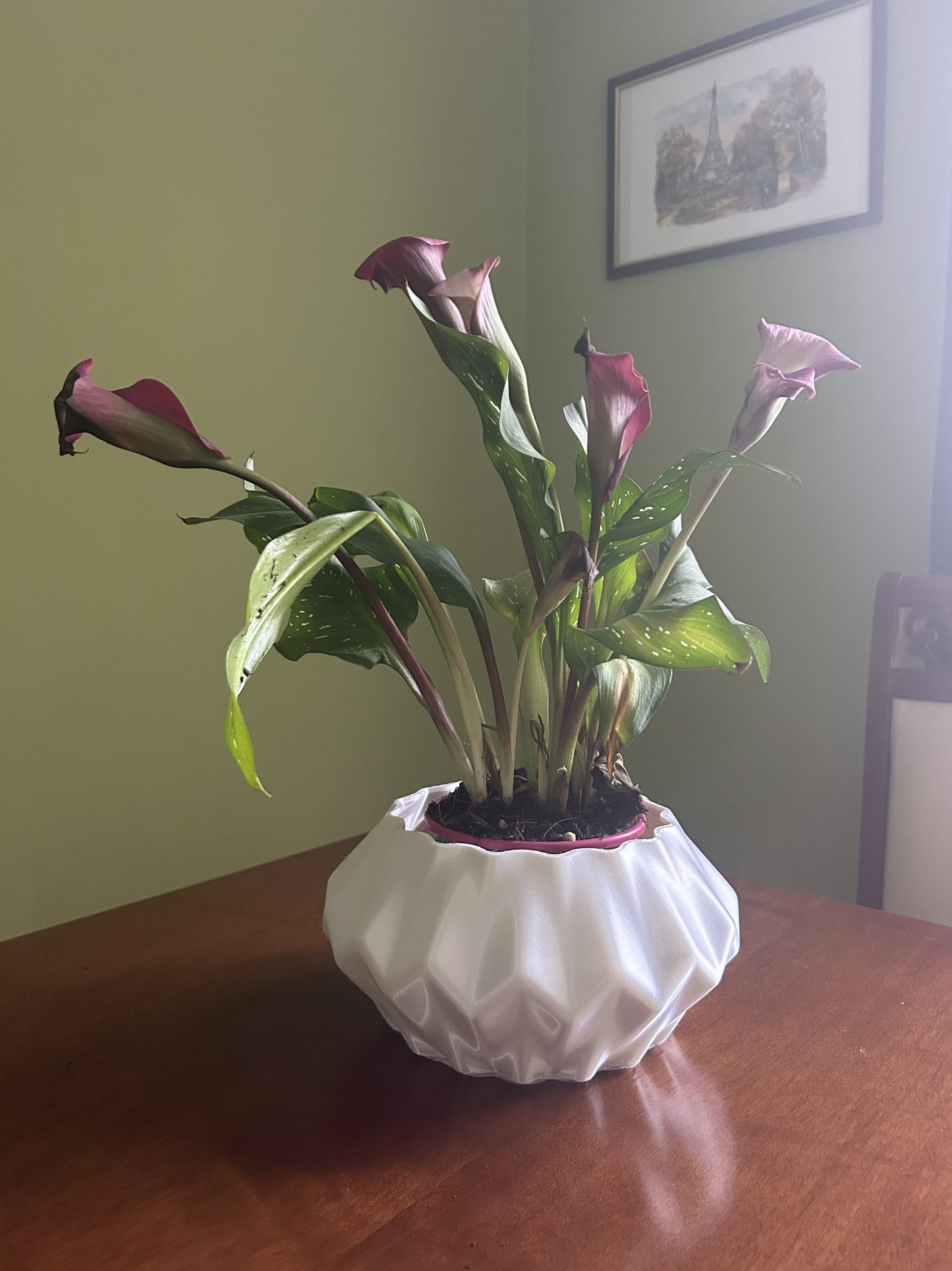 Vaso Stranito decorativo geometrico in PLA stampato in 3D posizionato su un tavolo con pianta