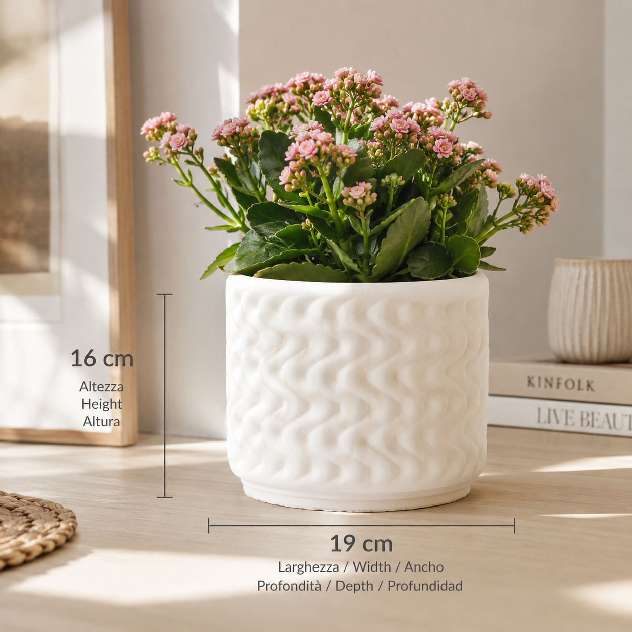 Large white textured ceramic planter measuring 19 cm wide, 19 cm deep and 16 cm high, displayed with lush green foliage and delicate pink flowers in a bright modern interior. Decorative indoor flower pot for premium home and office decor.