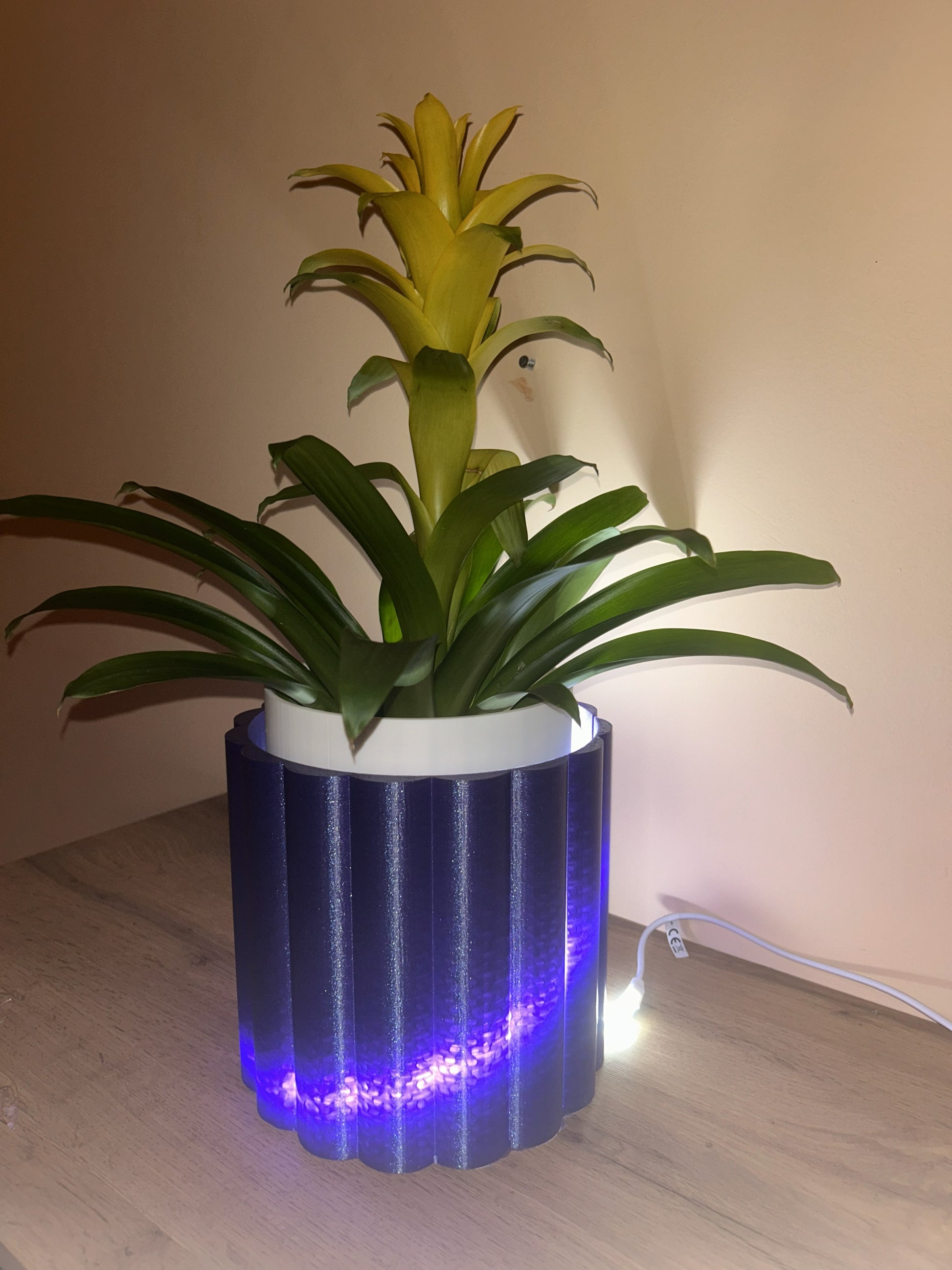 Vaso lampada acceso con illuminazione LED d’atmosfera