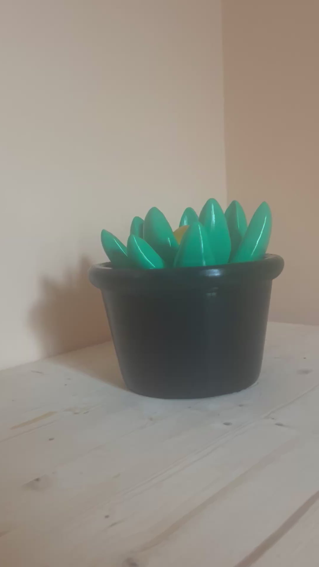Vaso Pianta Spina Dolce - Fjoccola
