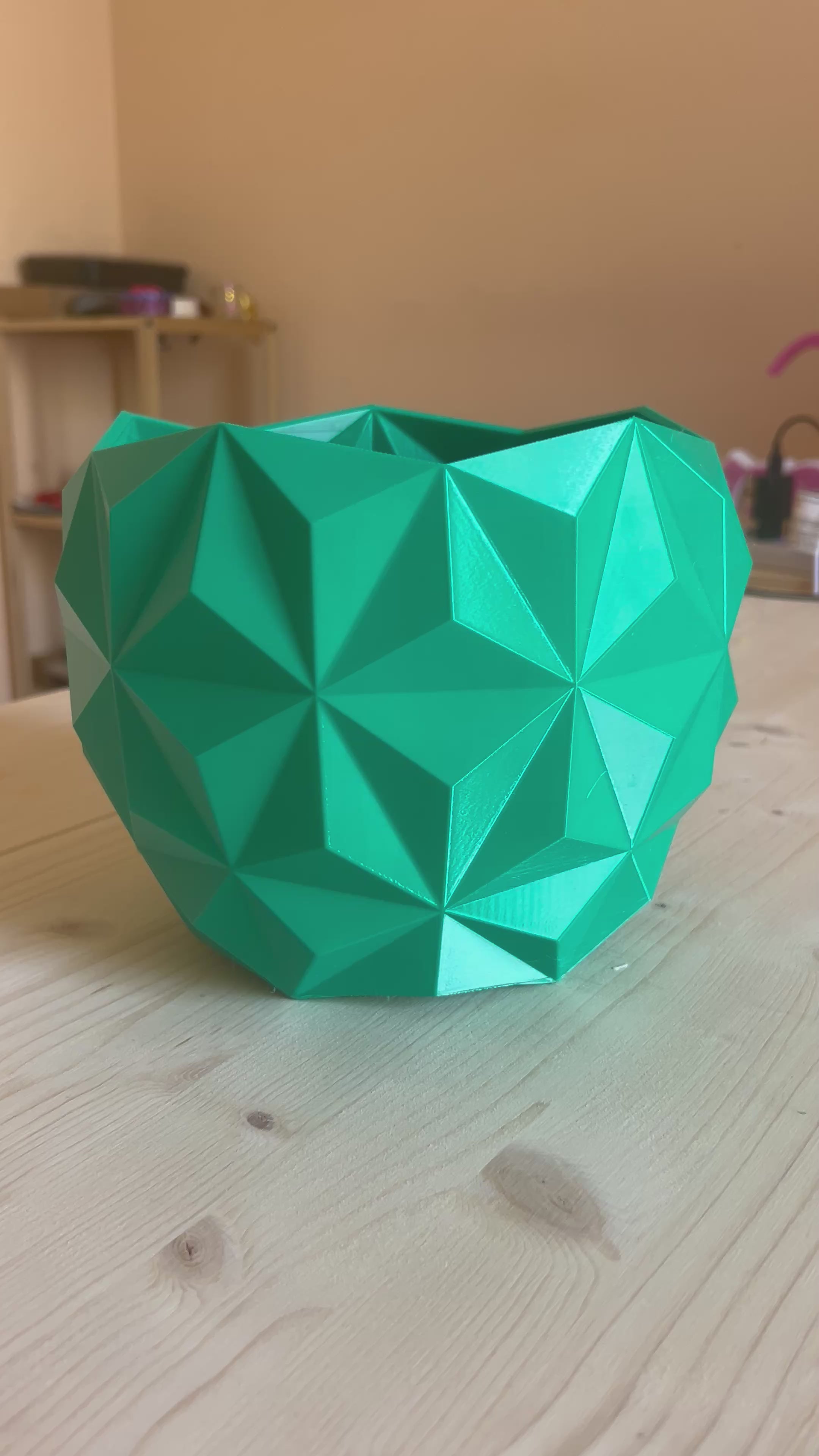 Vaso Liberazione | Modern Geometric PETG Planter for Indoor Plants and Designer Interiors
