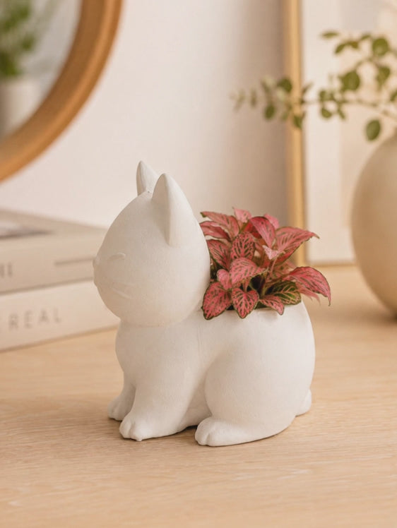 Discover a charming white cat-shaped planter made to showcase colorful plants and brighten any interior. Perfect for modern home decor, indoor plants, succulent displays and unique gifts for cat lovers worldwide.