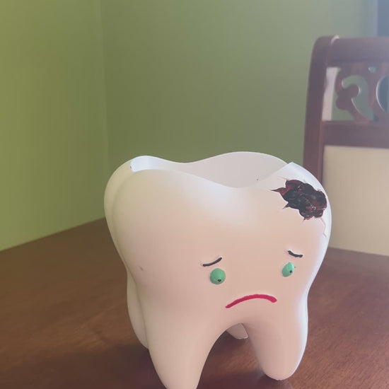 Creative dental themed planter for succulents, cactus and indoor plants